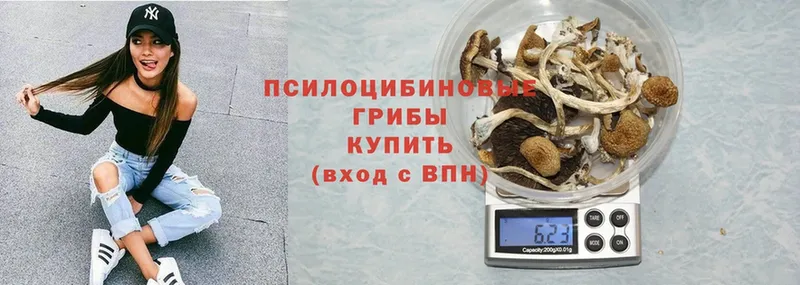 hydra tor  Кодинск  Псилоцибиновые грибы ЛСД  где можно купить наркотик 